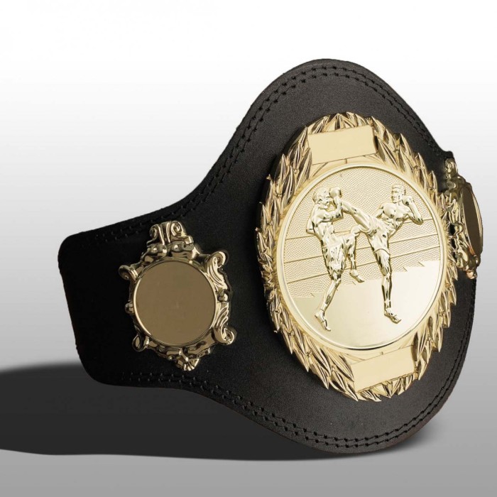 THAI BOXING TITLE BELT - PLT286/G/TBOG-4 COLOURS